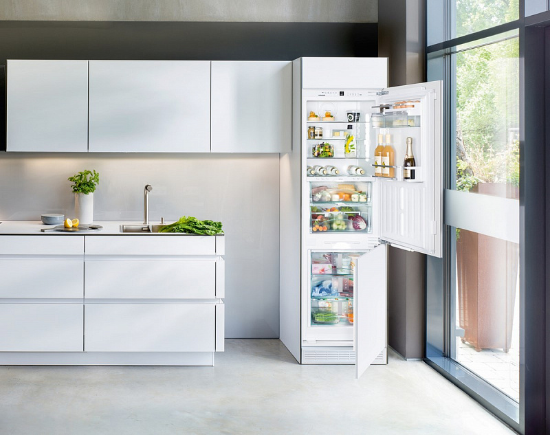 Встроенный Холодильник Фото