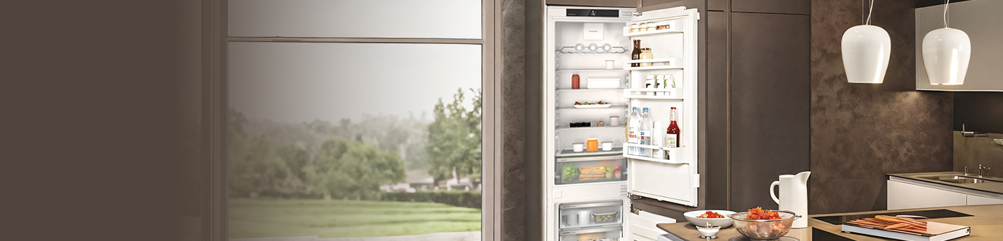 Встраиваемый холодильник Liebherr ICNSd 5603