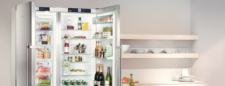 Холодильники Side-by-Side Liebherr