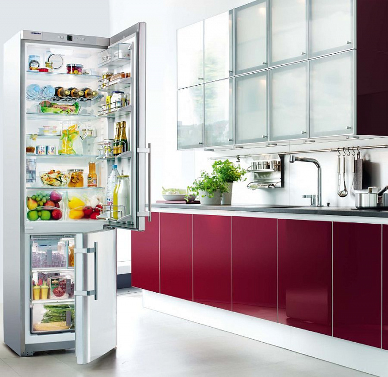 Холодильники Liebherr CNES
