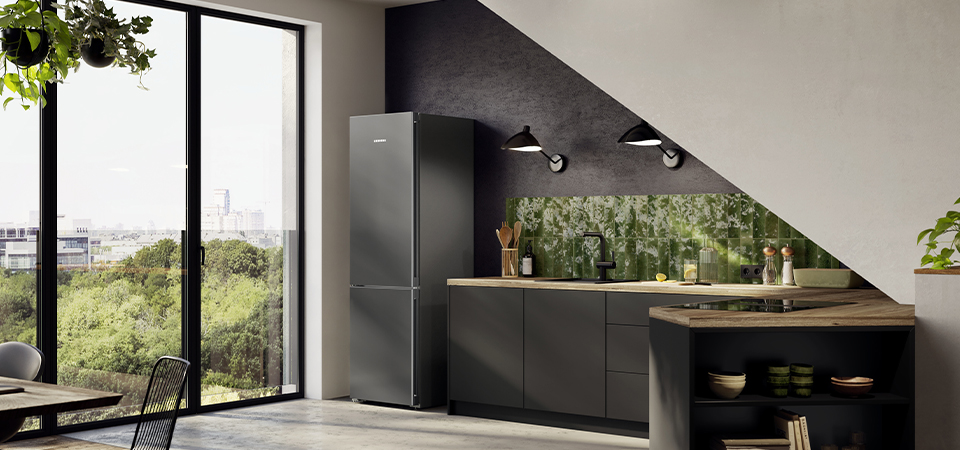 Вилли Либхерр был удостоен наивысшей награды Франции