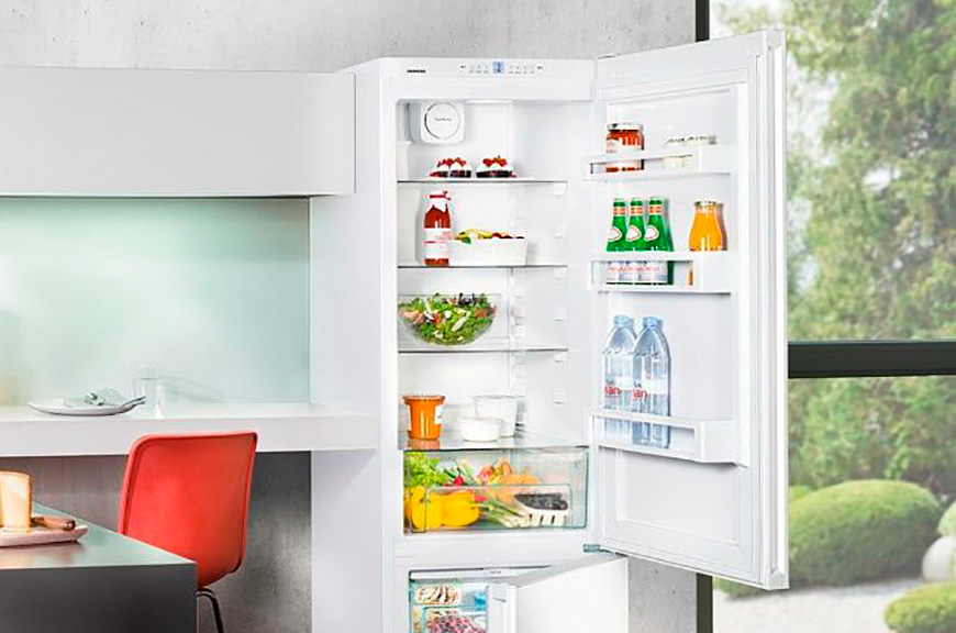 Холодильник CNP 4813