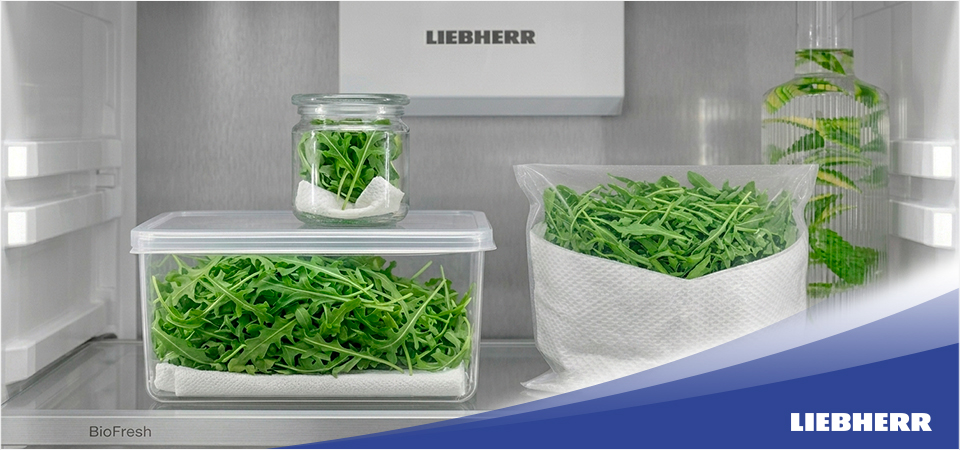 Как хранить рукколу в холодильнике