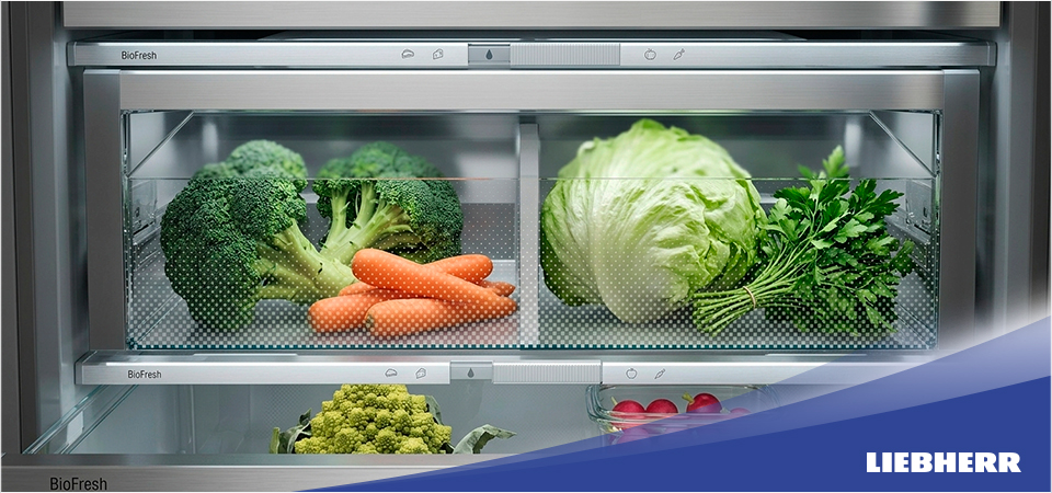 Можно ли хранить овощи в холодильнике?