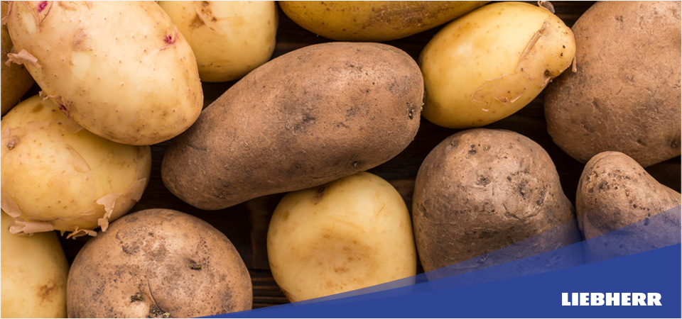 Сколько можно хранить картофель в холодильнике