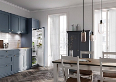 Встраиваемый холодильник Liebherr IRDe 5121