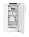 Купить Морозильник Liebherr FNd 4254 preview 6