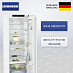 Купить Холодильник Liebherr RBc 5220 Plus preview 1
