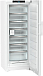 Купить Морозильник Liebherr FNc 727i Peak preview 12
