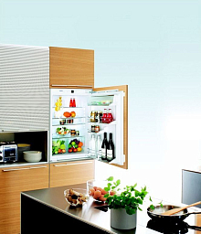 Встраиваемый холодильник Liebherr IKP 1760