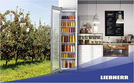 Потребляемая мощность холодильников Liebherr