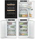 Купить Встраиваемый холодильник Liebherr IXRFWB 3963 preview 2