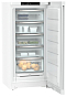 Морозильник Liebherr FNd 6625