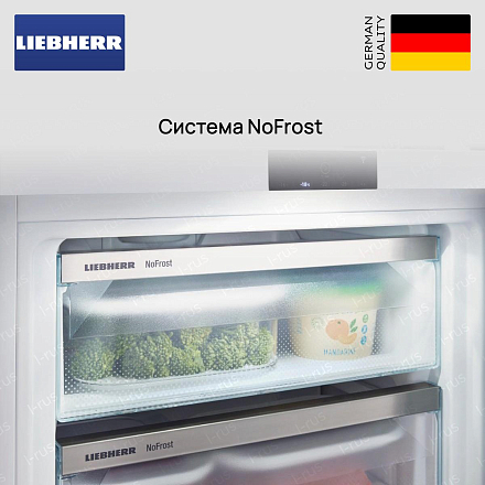 Встраиваемый холодильник Liebherr IXRF 5100 (SIFNf 5108 + IRe 5100) фото 6 Встраиваемый холодильник Liebherr IXRF 5100 (SIFNf 5108 + IRe 5100) preview 6