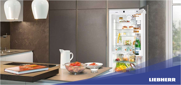 Рейтинг лучших встраиваемых холодильников Liebherr 2024 года