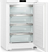 Купить Морозильник Liebherr Fe 1414 preview 11
