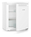 Купить Холодильник Liebherr Re 1000 preview 6