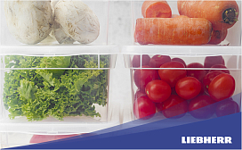 Можно ли хранить овощи в холодильнике?