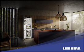 Можно ли хранить бытовой холодильник на улице?