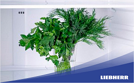 Как хранить кинзу в холодильнике