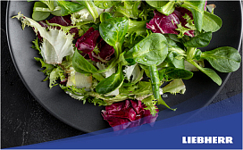 Сколько можно хранить салат в холодильнике