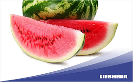 Сколько можно хранить разрезанный арбуз в холодильнике?