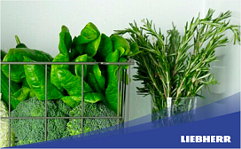 Как хранить шпинат в холодильнике