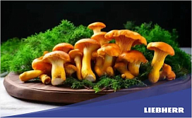 Сколько можно хранить грибы в холодильнике?