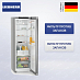 Купить Холодильник Liebherr RDsfd 5220 preview 1