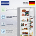 Купить Холодильник Liebherr CTele 2931 preview 2