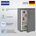 Купить Холодильник Liebherr Rdgd 1400 Pure preview 2