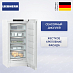 Купить Морозильник Liebherr FNd 6625 preview 1