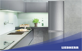 Рейтинг холодильников Liebherr по цене и качеству в 2026 году