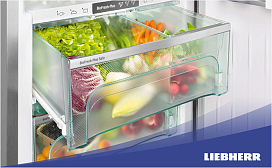 Можно ли хранить морковь в холодильнике?