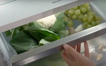 Liebherr BioFresh feature