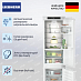 Купить Встраиваемый холодильник Liebherr ICBNc 5623 preview 2
