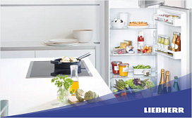 Сколько можно хранить опята в холодильнике?