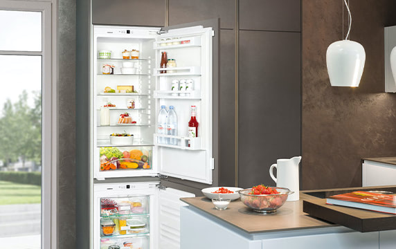 Встраиваемые холодильники